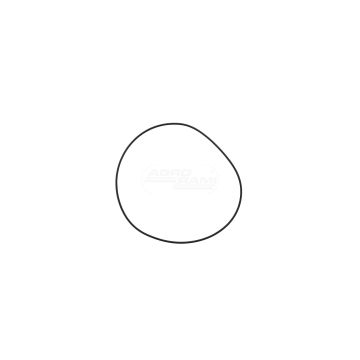 Prsten 85819719 Case IH