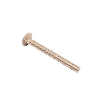 Carriage bolt DIN 603 8x80 A2