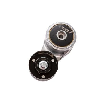 TENSIONER ROLLER + BELT KIT 6PK2555 - 76 x 30 mm / 102 x 30 mm / 80 x 26.1 mm