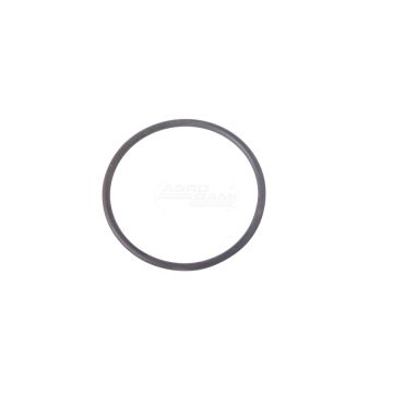 O-Ring 36x2