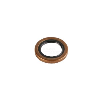  Pierścień 25/305-84