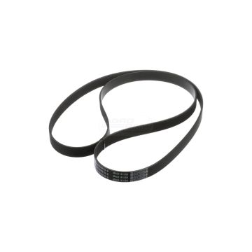 AC compressor alternator belt