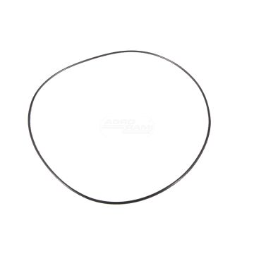 Seal ring SPEED SHIFT PISTON 221.84X3.53