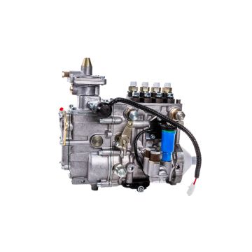 Einspritzpumpe 4M10P1I-4352
