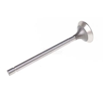 Exhaust valve PWLA002-S-0-0 Paradowscy
