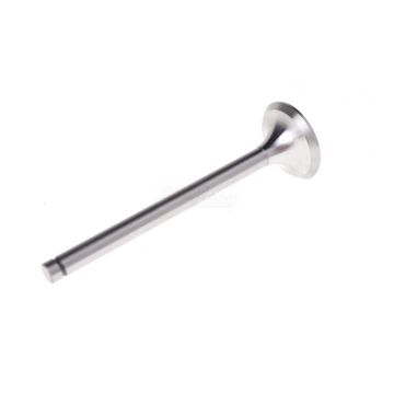 Exhaust valve
