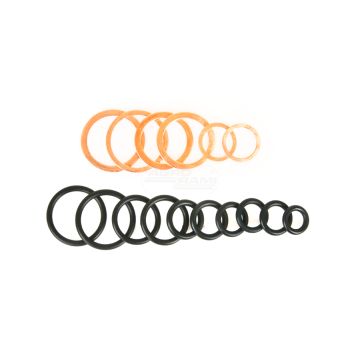 Satz Verteilerdichtungen