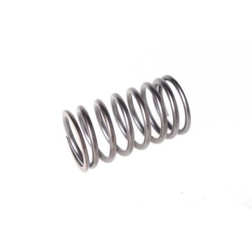 External valve spring