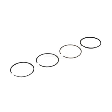 Set of rings.Fi-100.50mm