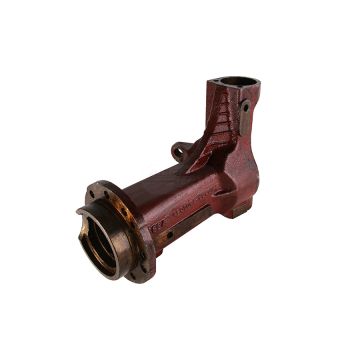 Rechte Brückenvagina