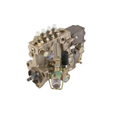 Einspritzpumpe PP4M10P1F-3465