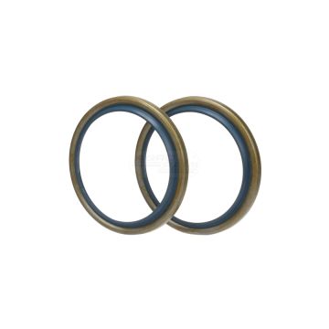 Achsschenkeldichtung