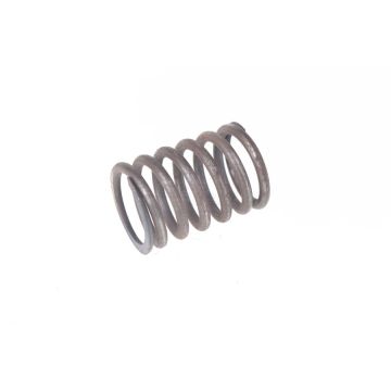 Valve spring