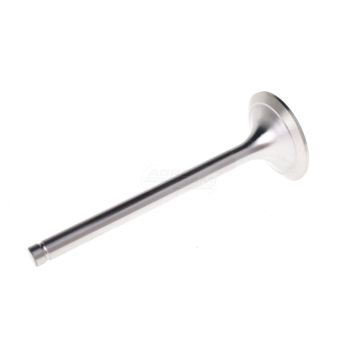 Suction valve 120 PARADOWSKI