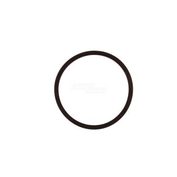 Oring 25/306-5