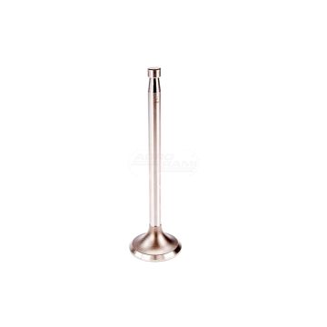 Einlassventil Z25-161802 TSCHECHISCHES PRODUKT