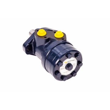 Hydraulic motor WMR-S100cm3/rev(175bar/max.220bar)