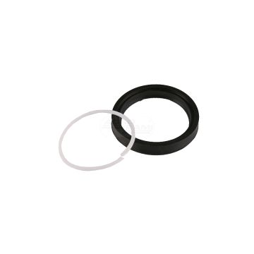 Sealing ring with plastic insert