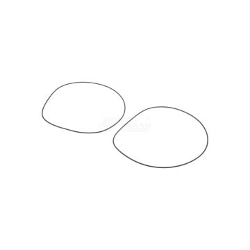 O-Ring des Bremskolbens