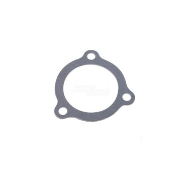 Thermostatdichtung - 10er-Pack