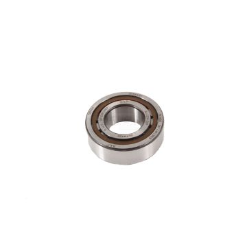 Roller bearing