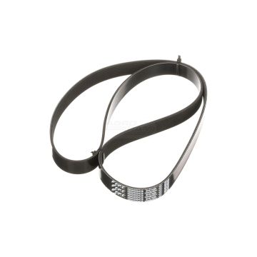 Belt 1622 mm 8 ribs