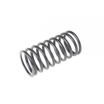 Valve spring