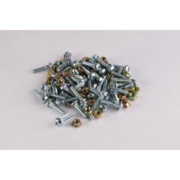 M6X28 TORX SCREW SET (approx. 50 pcs.)