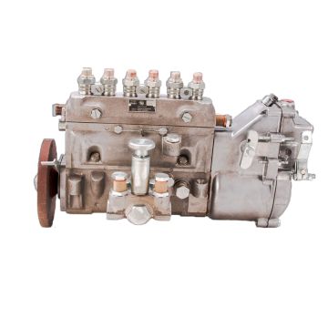 Pompe d'injection SW-400 TURBO avec lubrification centralisée