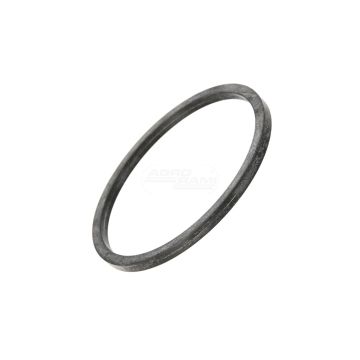 Dichtung für die Wasserpumpe