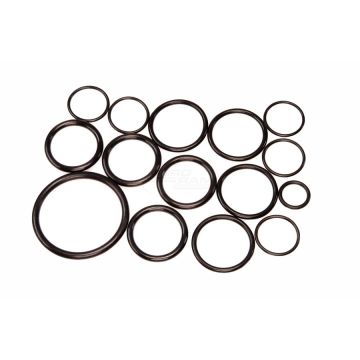 Jeu de joints Biardzki P-120