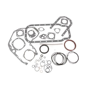 Engine bottom gasket set for wet bushings D226b3