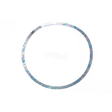 Těsnění DPF filtru 97033984