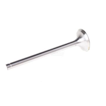 PARADOWSKI exhaust valve