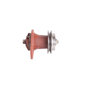 Komplette Wasserpumpe Zetor Ursus C-20117 86017999