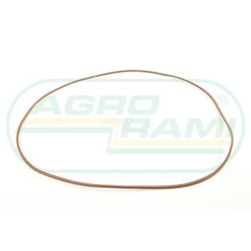 O-krúžok brzdového piestu