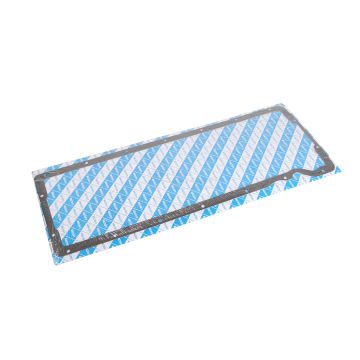 Schüsseldichtung 1110431 POLGASKET