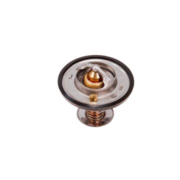 Thermostat.25/143-44