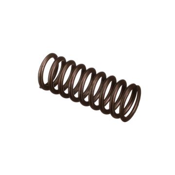 Valve spring