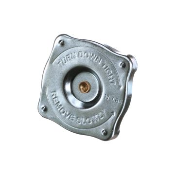 Radiator cap
