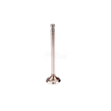 Exhaust valve