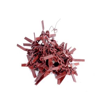 RCW-3 transport conveyor