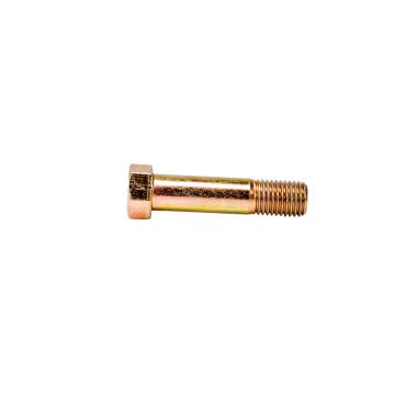 SCREW M20X85