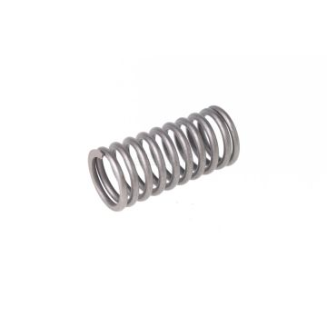 Valve spring