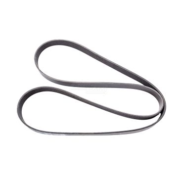 Sangle 26/144-117 8PKX1930