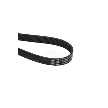 TRANSMISSION BELT