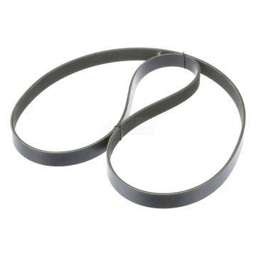 Alternator belt 8PK2020