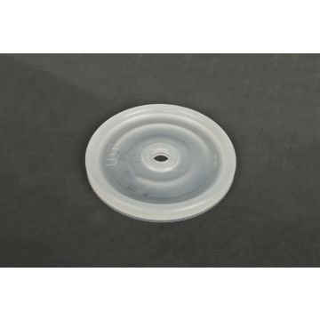 Diaphragm P-120 W19699 Biardzki