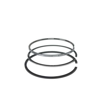 Súprava obrúčok fi-100,00 30/34-110, 34-176 4181A019 , 4181A041, 4222706M91 Bepco