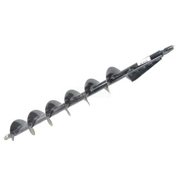 Ensemble d'escargots d'oreilles